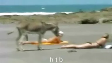 Sperm donörü, gizliporno 17