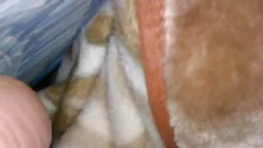 Rosebud aşk açık seks ile deri sürtük porno gizlesene